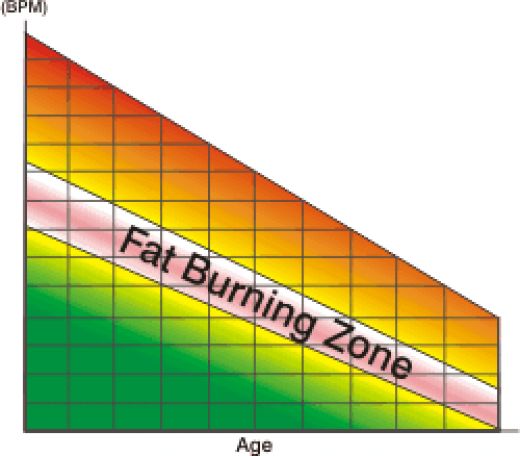 Fat Burning Zone - Bodyblitz Body.