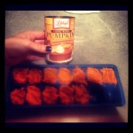 PUMPKIN PIE PROTEIN SHAKE RECIPE