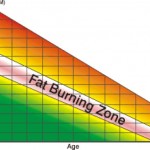 Fat-Burning Zone